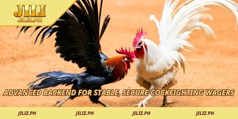 Advanced backend for stable, secure cockfighting wagers