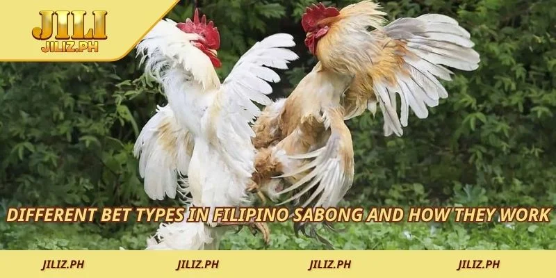Different bet types in Filipino sabong and how they work